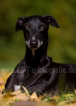 14 Farbenspiel